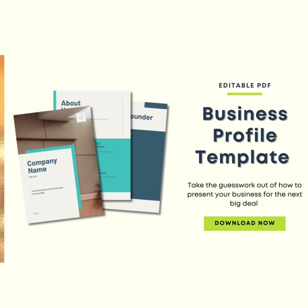 Easy To Use Business Profile Template For Entrepreneurs
