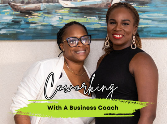 Cowering With A Business Coach